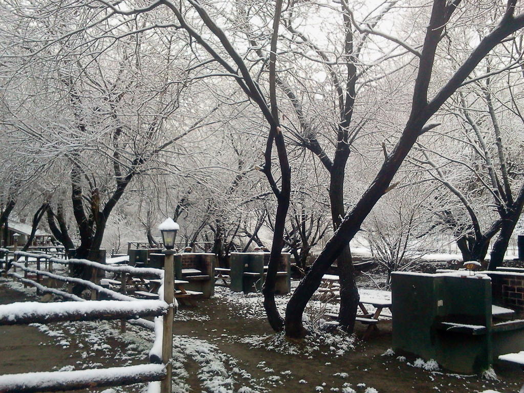 Camping Y Hostal El Ovejero El Calafate Extérieur photo