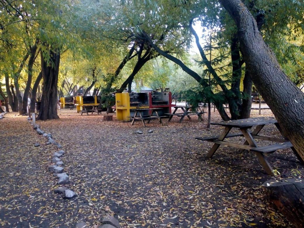 Camping Y Hostal El Ovejero El Calafate Extérieur photo
